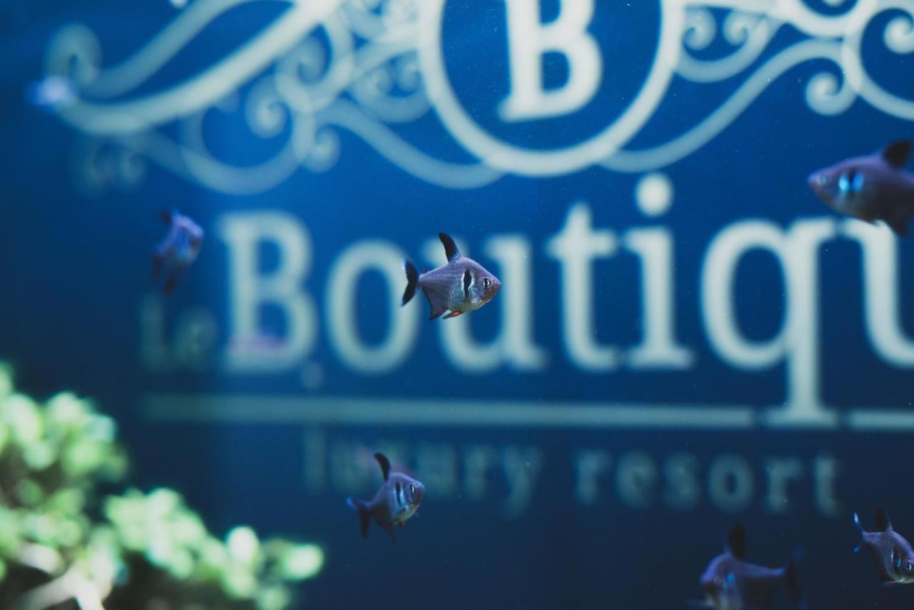 Le Boutique Luxury Maison d'hôtes